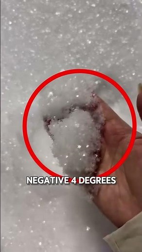 Incredible Real Snowflakes Up Close ❄️