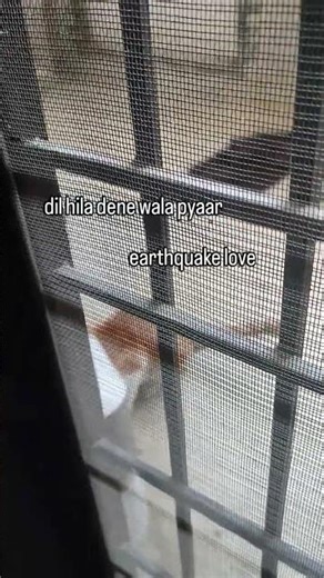 (Oww oww aa...) 🎶 bro is singing to his food 🤣🔊 #orangecat #funnycats #weird