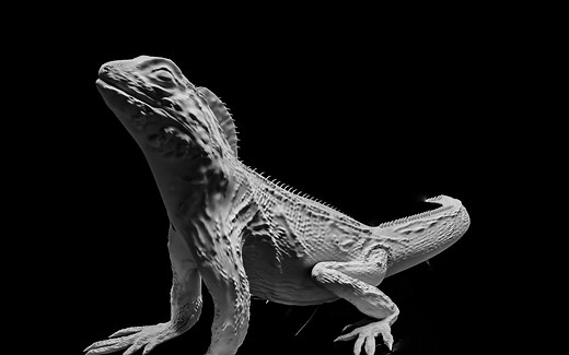 C4D多边形建模雕刻（上）