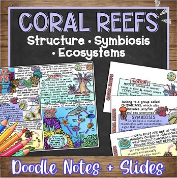 Coral Reefs Doodle Notes & Quiz   PowerPoint | Polyps Symbiosis  Reef Ecosystem