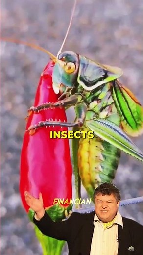 Why Chili Peppers Feel Hot But Aren’t