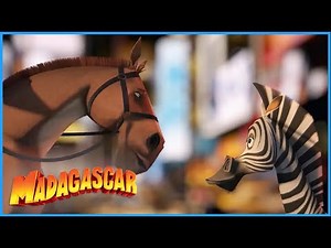 DreamWorks Madagascar | Its Grand And It's Central | Madagascar Movie Clip