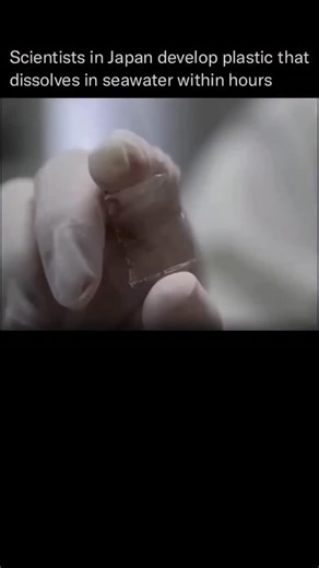 Brief Explanation on Instagram: "A groundbreaking new plastic has been co-developed by the University of Tokyo and Japan's RIKEN Centre for Emergent Matter Science (CEMS). Scientists created the material by combining two small molecules that form a strong, durable bond-resulting in a plastic that remains both tough and flexible. What sets this innovation apart is its ability to dissolve rapidly in saltwater. When placed in a solution with the same salinity as seawater, the plastic broke down in