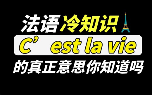 [法语冷知识]中国人一直用错的一句法语 C’est la vie 你知道它的正确意思吗