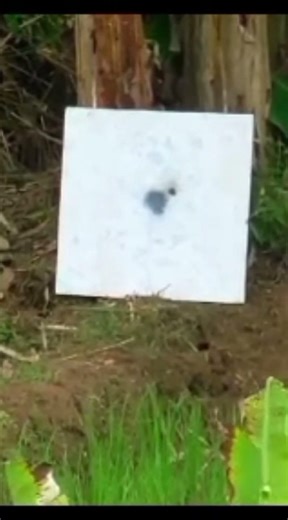 PENGETESAN MIMIS EXPLOSIVE PREMIUM PELLETS, DARI RATU MIMIS #adventureindonesia