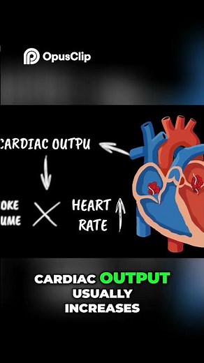 Heart Rate & Cardiac Output | Tachycardia vs Bradycardia