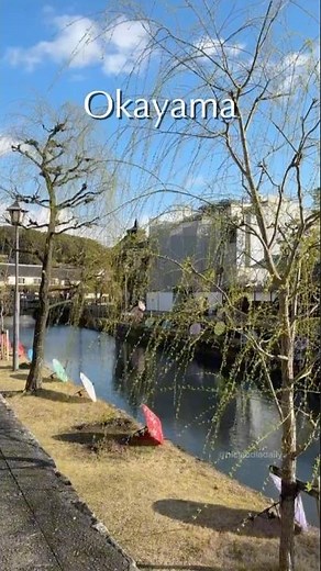 나만 알고 싶은 일본 소도시, 오카야마🍣 #오카야마 #일본여행 #travel #岡山 #okayama #먹방 #오카야마여행