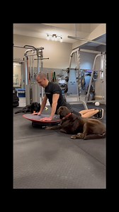 Here is what training your core with reactive variability in multiple vectors looks like️ @sparrow_derek puts in the work on the regular  * * * #coretex #coretexfitness #reactivetraining #reactivevariability #coretraining #coreworkout #corestrength #homegym #garagegym #fitfam | Core-Tex | Facebook