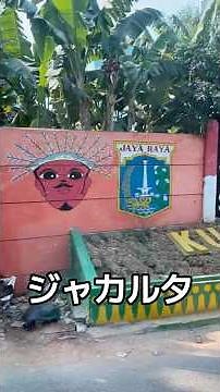 ジャカルタ体験してきた #ジャカルタ #インドネシア #海外旅行 #旅行 #観光#マック