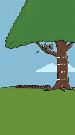 2.9K views · 13 reactions | These are some high-value nuts. And...