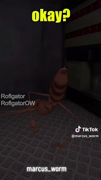 We're going to 🔥 Robert! @roflgator @Jouffa #fyp #marcusworm #roflgator #vrchat #marcusvr