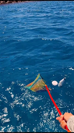 Pesca di occhiate con il natello #lovefish #occhiate #natello #pescare