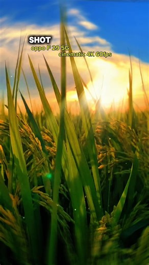 official editor boy 💌⚜️#nature #trending #shortvideo #love