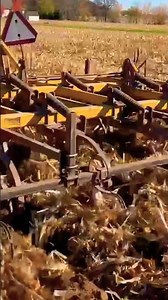 Testing out the new chisel plow.