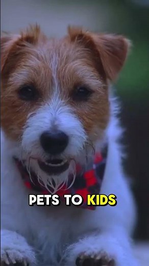 Night Photography Upgrade: How Canon R50 Captures Sharper, Cleaner Low Light Shots!