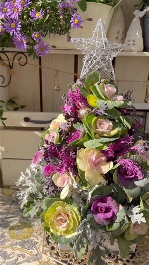 #12月の小さい庭#葉牡丹ツリー#shots #Ornamental cabbage#クリスマスツリー #クリスマス音楽 #gardening #寄せ植え #christmas #flowers