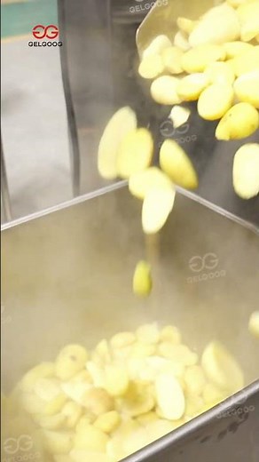 Mashed Potato Processing Line #machine