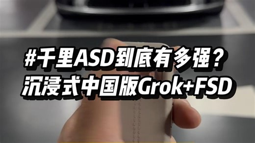 中国版Gork FSD来了！沉浸式体验一下