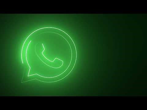 WhatsApp Logo Flickering Neon Lights Loop Animation by Motion Made
