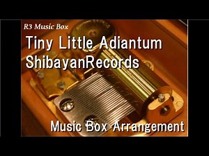 Tiny Little Adiantum/ShibayanRecords [Music Box]