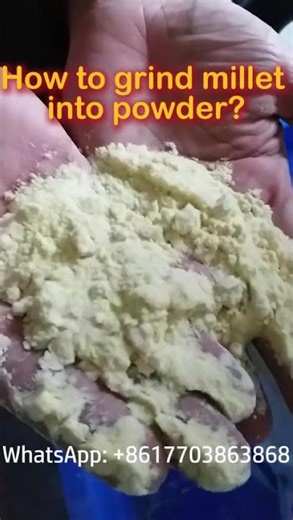 How to Grind Millet into Powder 🌾 | Millet Grinding Machine Process