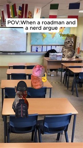 “According to my calculations🤓☝️” #catmemes #relatable #school #britishmemes