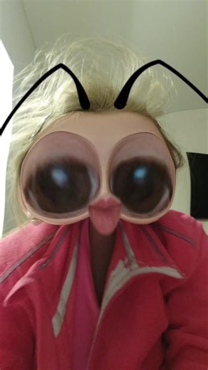 Відео користувача Mangle (@sprout_2017) з композицією «оригінальний звук - Mangle»