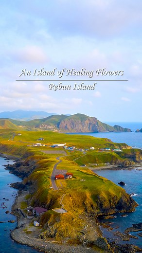 109 reactions | Exploring Flower Island - Japan's Northernmost Rebun...