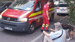 ASPA: Peste 100 de solicitari de interventie in cazul cainilor agresivi in doar o saptamana, in Capitala. O persoana muscata de caine, in Sectorul 4