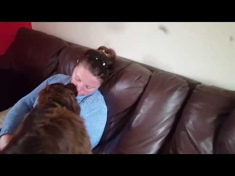 French kiss with a dog pmsl