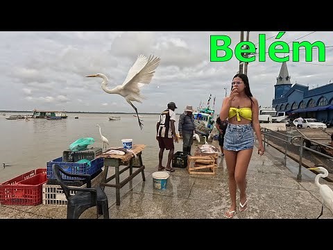 🇧🇷 Belém Brazil | A City Full of Life