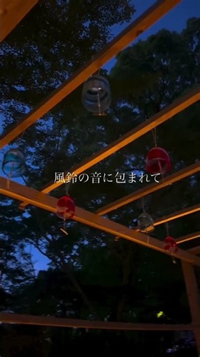 【太宰府】1年でたった7日間だけの七夕祭り #七夕祭り #福岡 #太宰府
