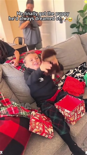 The kids finally got the puppies they’d always wanted!🥰💖#dog #bestgift #newpuppy #baby #fyppp