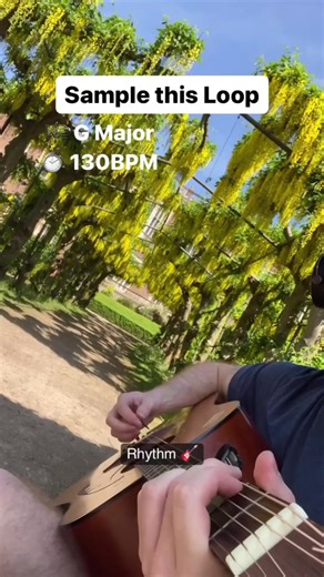 Country Type Guitar Loop Sample Pack - Backroads