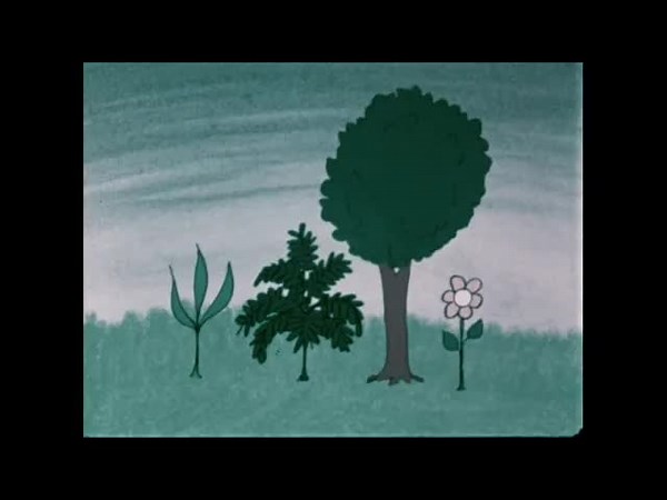 (152) ecology explained: understanding the environment, water cycle, and recycling