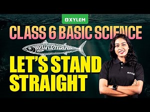 Class 6 Basic Science | Lets Stand Straight | Xylem Class6