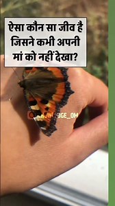 mp GK important 🌟 question answer #mpgk all exam #civilservicesexam #gk 🌟🥰🌹👌🤗♥️❣️🌹✨