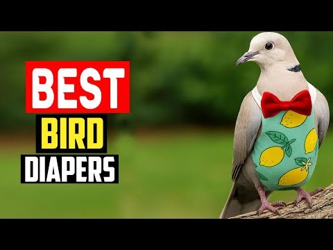 Top 5 Best Bird Diapers in 2025