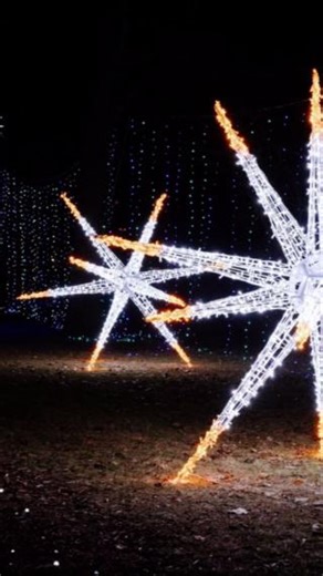 🌟 Wild Lights: Where the Holidays Come to Life! 🌟 For over 10 years, Wild Lights has been lighting up the season with dazzling, animal-themed light sculptures! 🦒🦓 Step into a world of holiday enchantment that’s perfect for all ages. 🎉 With a variety of ticket options available, your holiday adventure is just a glow away! ✨ Don't miss out on this whimsical wonderland — these lights are what you really really want! 💫 Wild Lights is presented by Corewell Health Children’s. | Detroit Zoo