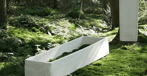 Mushrooms can be the answer to eco-friendly funerals with a 'living coffin' that decomposes in weeks