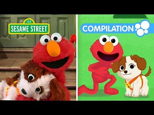 Sesame Street: Celebrate Puppy Day with Elmo & Tango | 1 Hour Compilation - Videos For Kids
