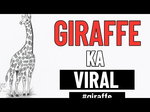 🦒 Giraffe Sketch Drawing | Easy Pencil Art | Giraffe Drawing Step by Step | Tauseef Art