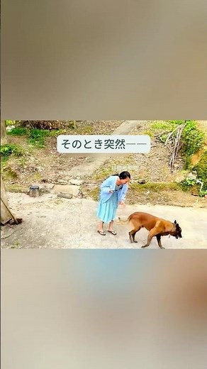 飼い主を守る勇敢な犬の感動的な瞬間