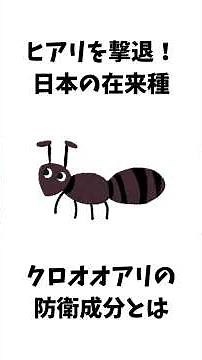 【面白科学】ヒアリを撃退！ 日本の在来種アリの成分とは？