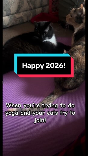 Happy 2026! What do you hope to see this year? I always love seeing my animals and they can get in the way of many activities. 😪 Peebee has been my yoga companion for years. Today was an interesting balancing act trying to do lunges and downward facing dog with cats under foot. I certainly got in a good laugh 😂. #2026newyear #catsoftiktiok #yogaflow #beesbest