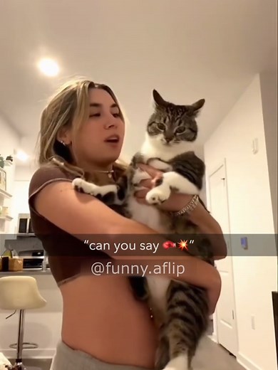 Funny Cat Attacks: Hilarious Videos of Cats Being Playful and Mischievous