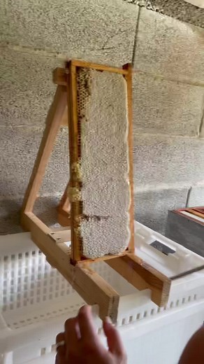 Beehive Frame Inspection: Honeycomb and Wax Removal