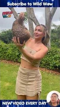 19 INCREDIBLE Animal Clips You CAN'T MISS!