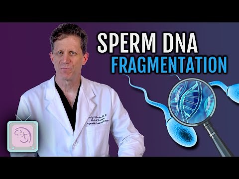 Sperm DNA Fragmentation Test -- Should you get it before IVF?