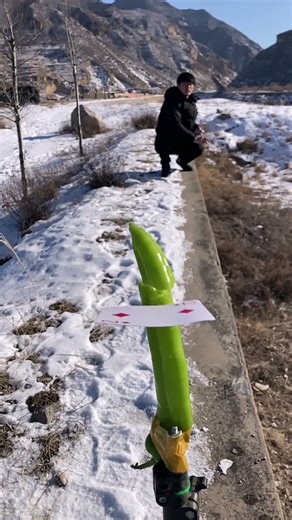 一张扑克牌的威力，飞牌绝技#户外探索